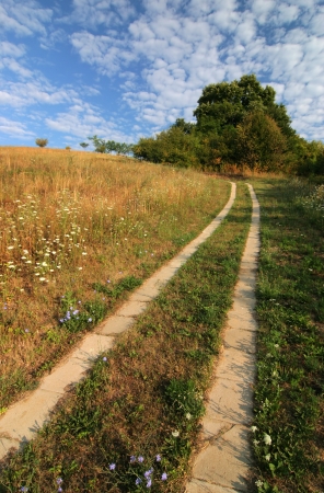 Beatiful landscape with tiwn pathの写真素材