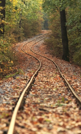 Train track covered with fallen leaves in autumnの写真素材