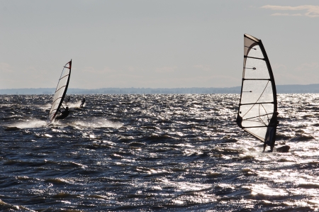 Windsurf competition in Hungary on Balaton lakeの写真素材