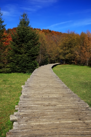 Woddan path goes into forest in Plitvice National Park of Croatiaの写真素材