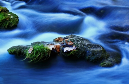 Forest creek in blue color in autumnの写真素材