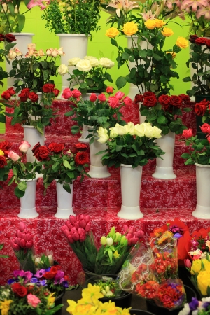 Beautiful colorful flowers in flower shopの写真素材