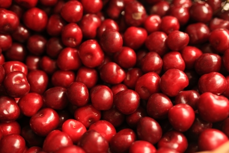 Some beautiful sweet cherry in pileの写真素材