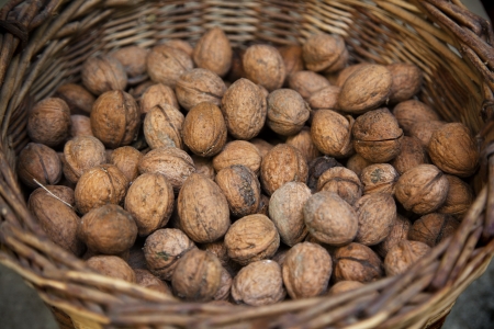 Heap of walnuts in wicker basketの写真素材