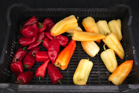 Ripe pepper in a plastic crateの写真素材