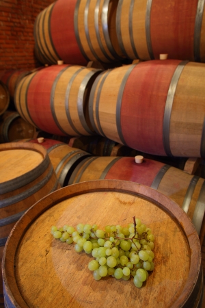 Wine barrels in wine-vaults in orderの写真素材
