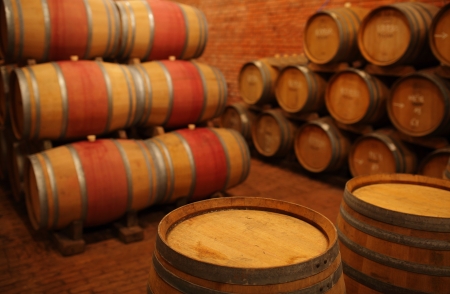 Wine barrels in wine-vaults in orderの写真素材
