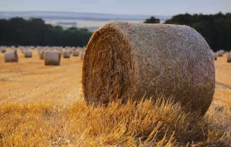 Beautiful landscape with straw bales in end of summer