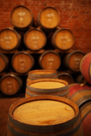 Wine barrels in wine-vaults in orderの写真素材