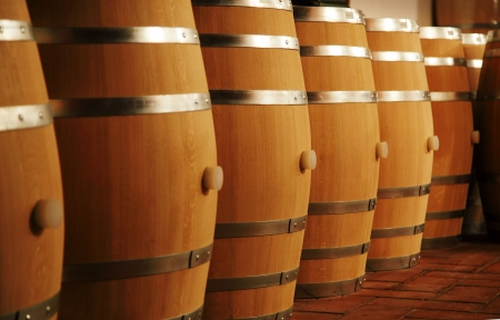 Wine barrels in wine-vaults in order