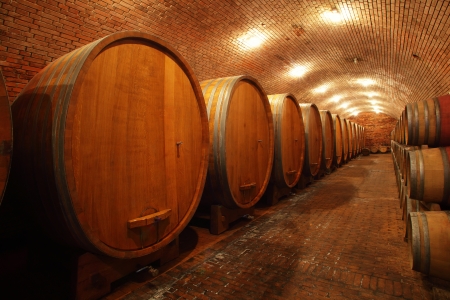 Barrels in the cellar in orderの写真素材