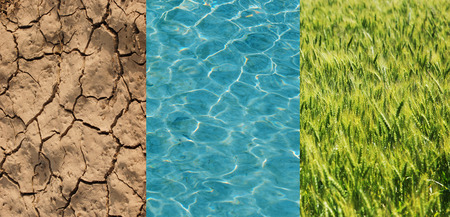 Dry field, green wheat and water in one imageの写真素材