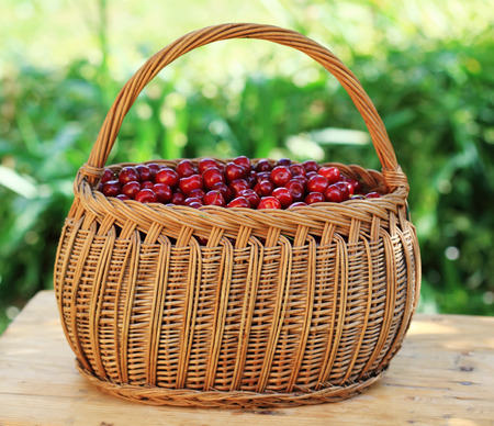 Some beautiful sweet cherry fruit in basketの写真素材