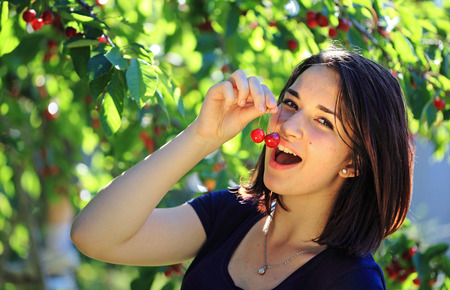 Young girl eats cherry outdoor from cherry treeの写真素材