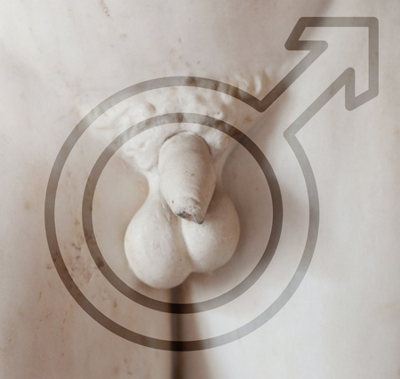 Greek statues in Italian museum penis detailの写真素材