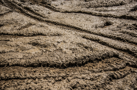 Dirty mud road with waterの写真素材