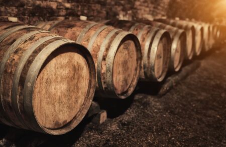 Wine barrels in wine-vaults in orderの写真素材