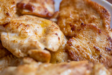 Roasted spiced chicken meat on plateの写真素材