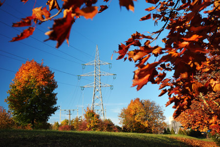 High-voltage pylon in autumnの写真素材