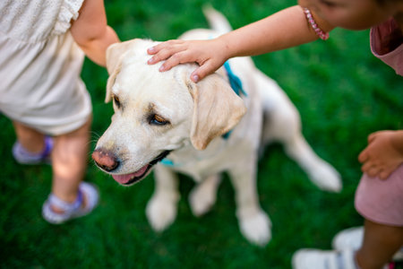 Children pat cute dog outdoor