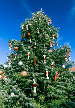 Christmas tree outdoor at blue skyの写真素材