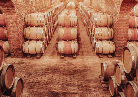 Wine barrels in wine-vaults in orderの写真素材