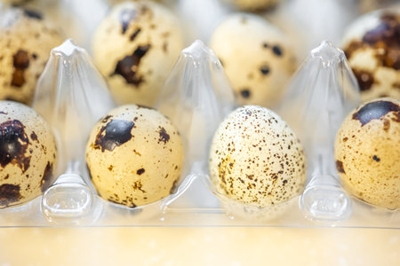 Quail eggs in container boxの写真素材