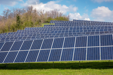 Photovoltaic solar panel with landscape