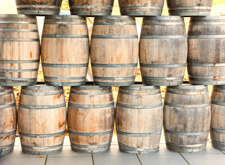 Wine barrels in wine-vaults in orderの写真素材