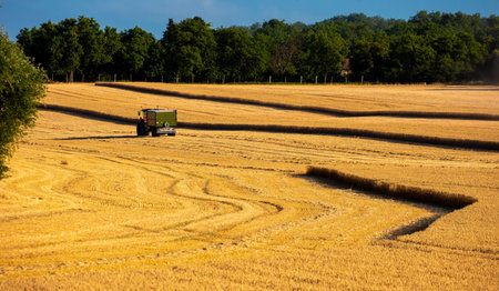 Harvester machine harvest cereal wheatの写真素材