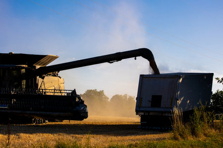 Harvester machine harvest cereal wheatの写真素材