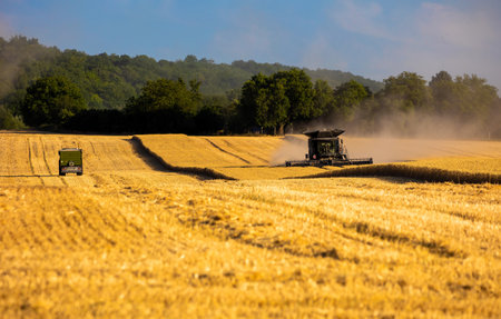 Harvester machine harvest cereal wheatの写真素材
