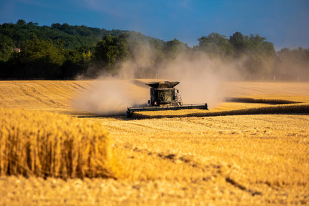 Harvester machine harvest cereal wheatの写真素材