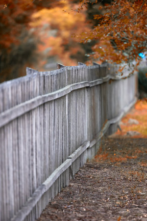 Wooden fence in park in autumnの写真素材