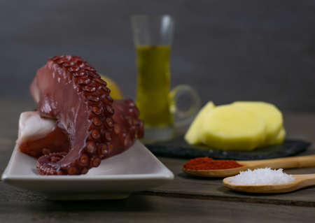 Galician octopus typical food from the north of Spain with sweet paprika salt and Andalusian olive oil exquisite tapaの写真素材