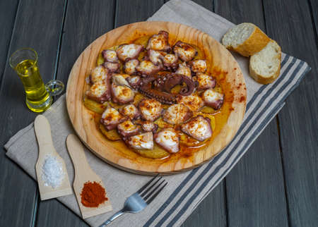 Galician octopus typical food from the north of Spain with sweet paprika salt and Andalusian olive oil exquisite tapaの写真素材