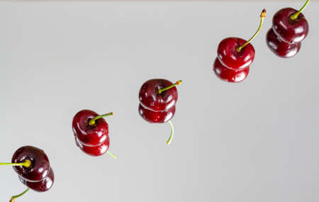 fresh red summer cherries with water dropsの写真素材