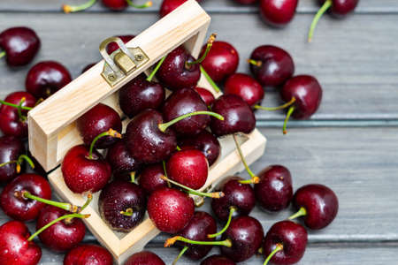 fresh red summer cherries with water dropsの写真素材