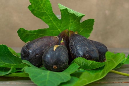 natural brebas collected from a treeの写真素材