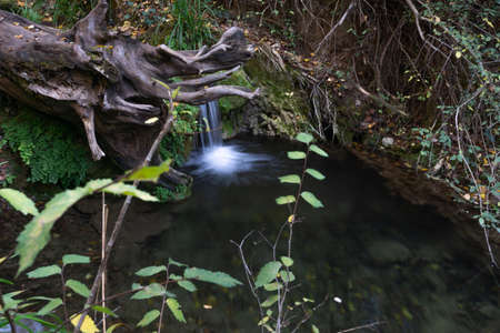 waterfall in a high mountain stream, dense vegetation, fishing shelterの写真素材