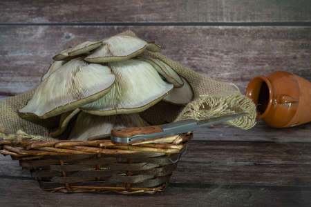 fresh thistle mushrooms freshly picked from the field ready to cook on a wooden backgroundの写真素材