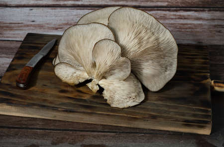 fresh thistle mushrooms freshly picked from the field ready to cook on a wooden backgroundの写真素材