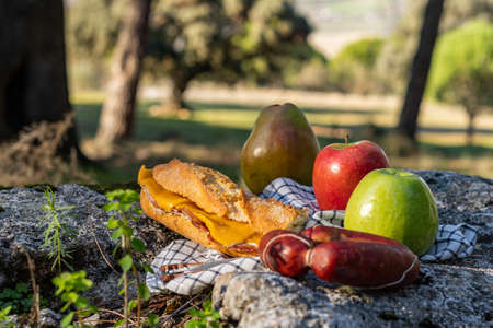 picnic in the countryside, sandwich, sausage and fruit eating on a rock in the forestの写真素材