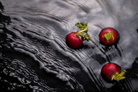 radishes in the water with waves and green splash effect branchesの写真素材