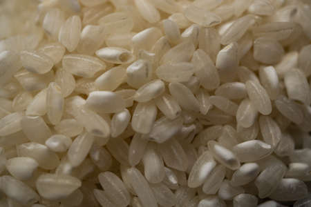close-up detail of rice grains out of focus macro photographyの写真素材