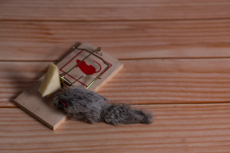 toy mouse trapped in a trap with bait cheeseの写真素材