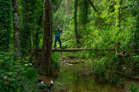 man crossing the river by the trunk of a tree, mountain sceneryの写真素材