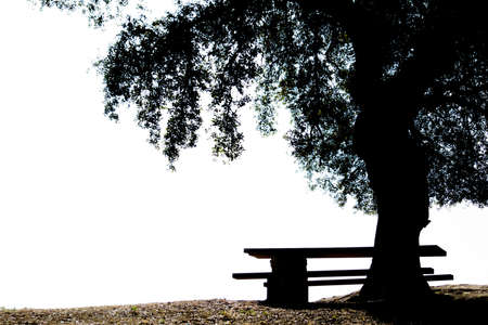 silhouette of wooden bench and table in the shade of a tree in a parkの写真素材