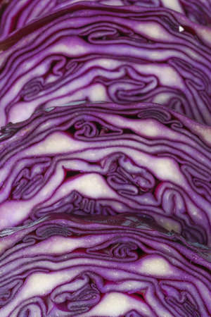 close-up macro detail of an isolated purple cabbage or red cabbageの写真素材