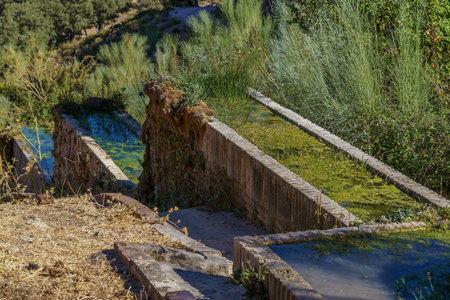watering place for livestock with moss and aquatic plants with fresh spring waterの写真素材
